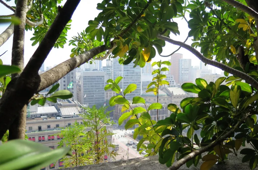 Visita guiada: conheça o jardim suspenso do Edifício Matarazzo