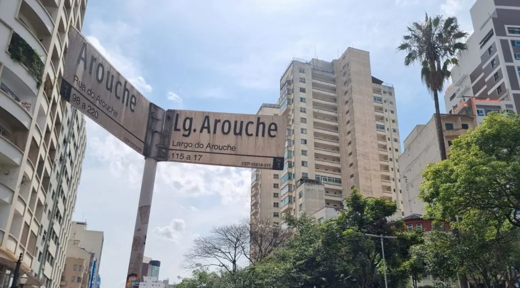 Arouche, José Bonifácio, Barão de Itapetininga e as questões indígenas