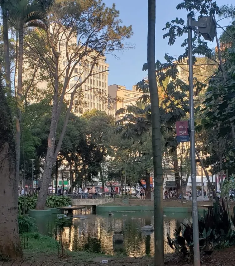Entre concreto e grama: onde ainda brota vida no Centro de SP