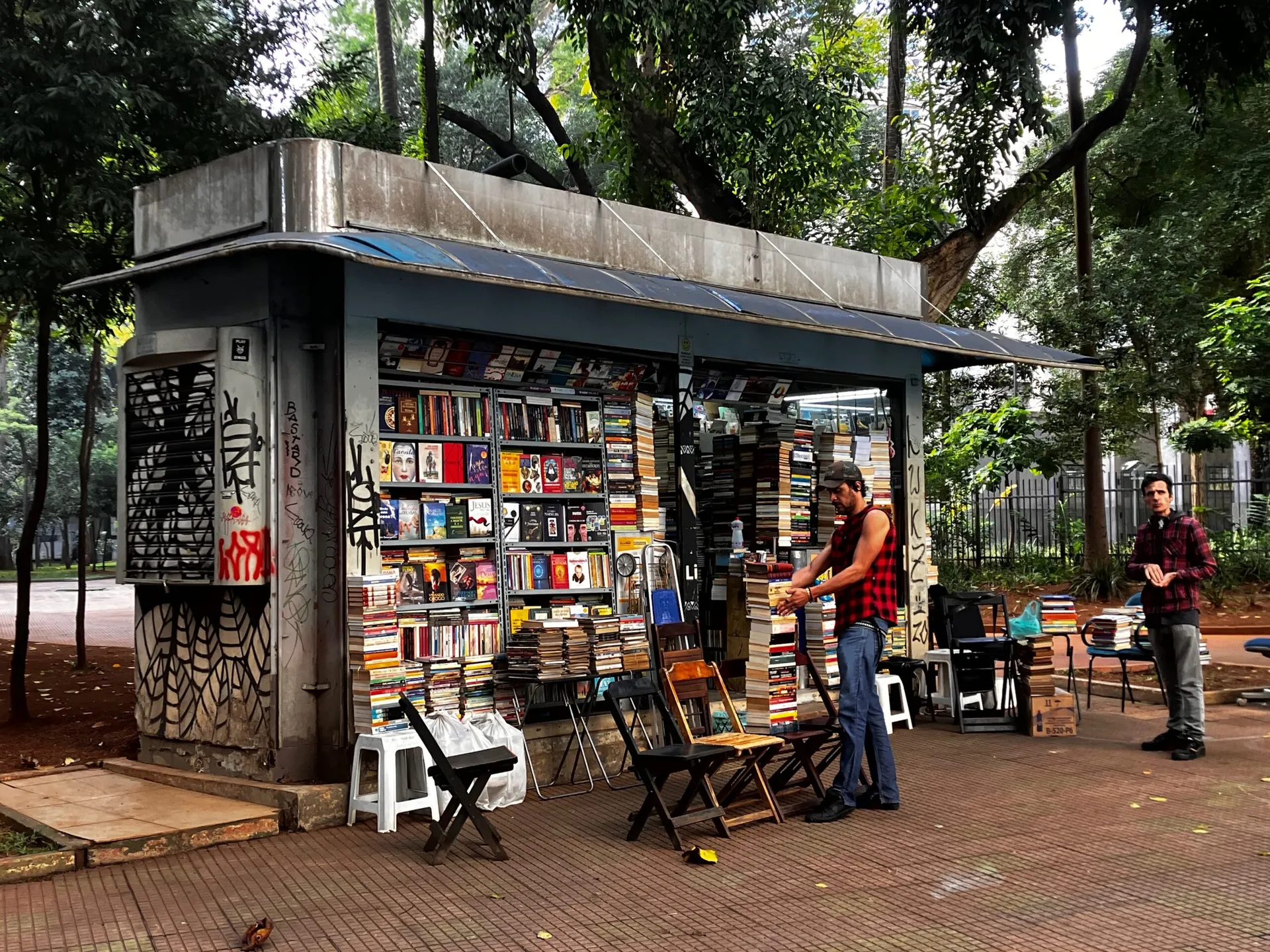 Quando os facínoras viviam em árvores (da Avenida São Luís)