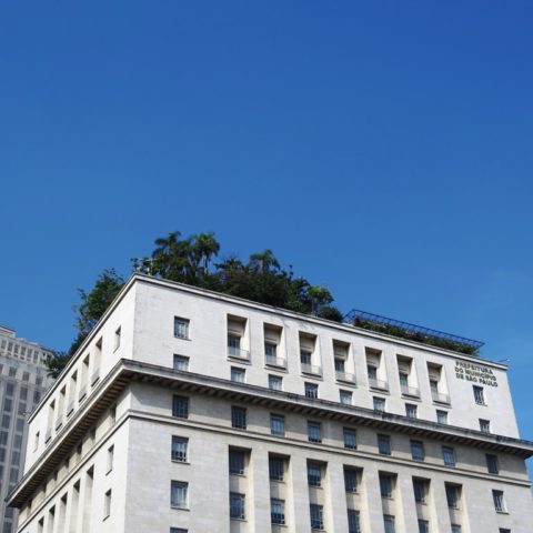 Edifício Matarazzo: as surpresas de um jardim suspenso
