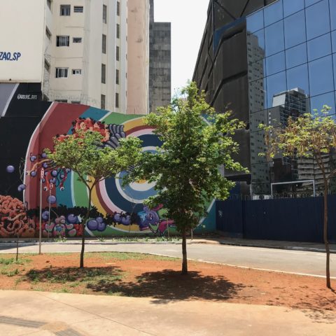 Mobilização da comunidade mantém nome Praça Roosevelt. Praça Tarcísio Meira será ao lado do Cultura Artística